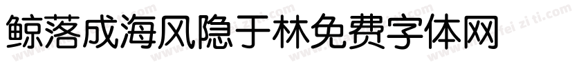 鲸落成海风隐于林 Regular字体转换